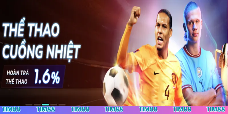 Chương trình hoàn tiền Tim88 khi tham gia Thể Thao