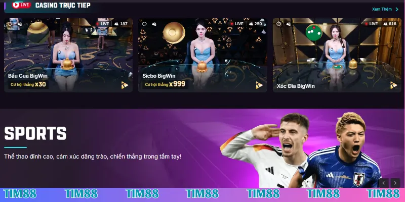 TIM88 có lừa đảo không - Đánh giá uy tín qua dịch vụ