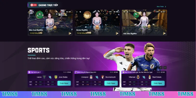 Nội dung cần chú ý khi tham gia chơi game cùng Tim88
