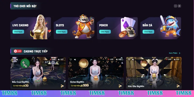 Trải nghiệm các tính năng hấp dẫn khi tải app Tim88