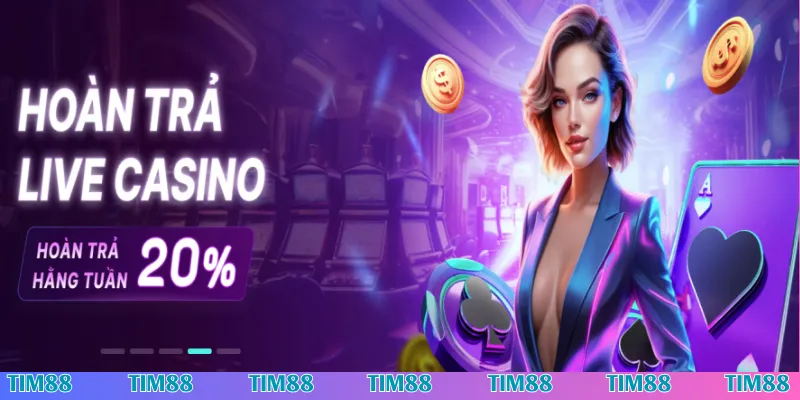 Ưu đãi hoàn tiền Tim88 cực hot tại sảnh Live Casino